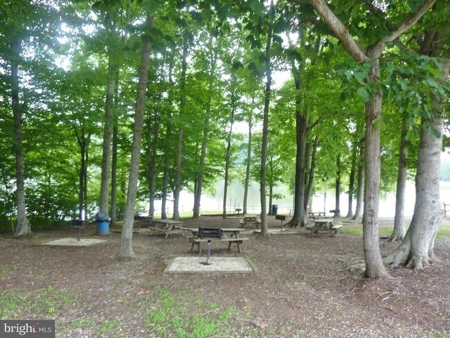 Building Photo - 206 Cedar Ridge Dr