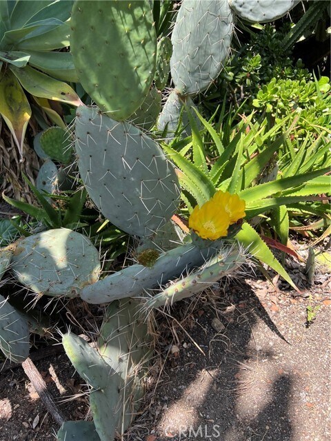 Building Photo - 12 Coach Rd