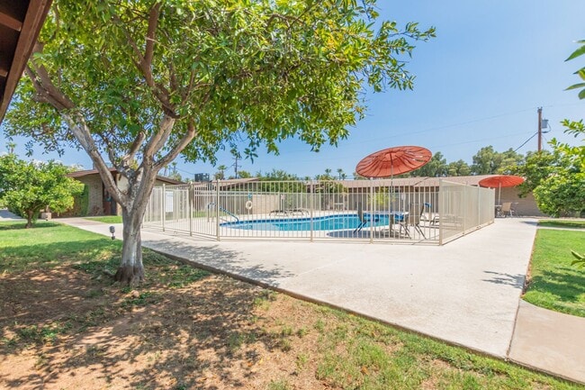 Building Photo - 2-Bedroom Condo in Citrus Acres Steps from...
