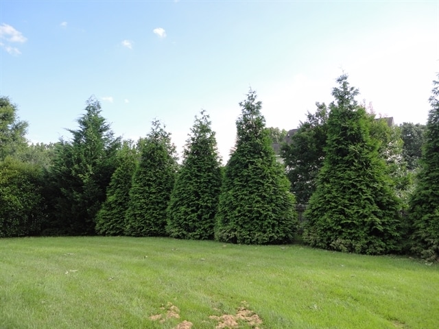 Building Photo - 2328 Water Lilly Way