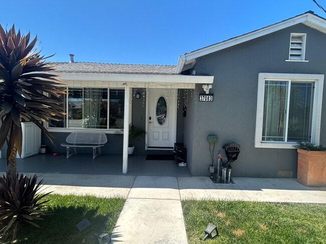 Primary Photo - 37083 Holly St