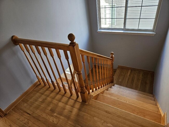 Building Photo - 10 Ronan Ct