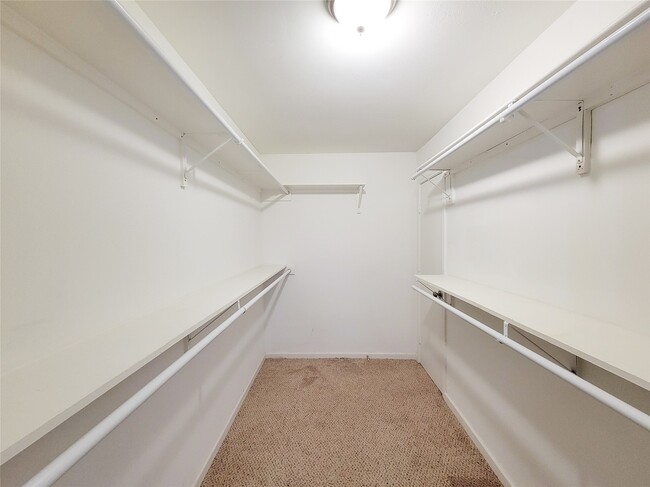 Building Photo - 13168 Trail Hollow Dr