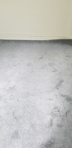 new bedroom carpeting - 814 W Wood St