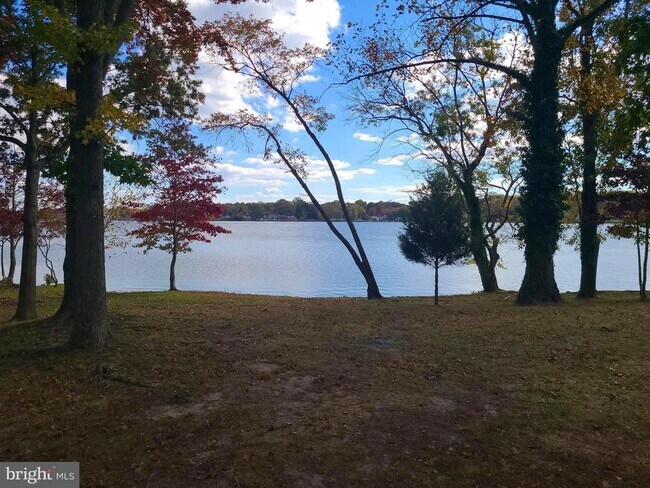 Building Photo - 11003 Bowerman Rd