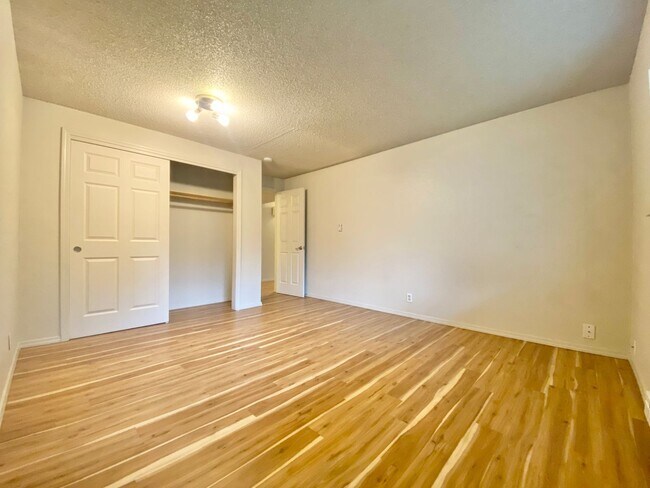 Building Photo - Amazing large 2-bedroom 1 bathroom Apartme...