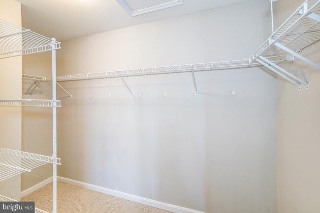 Building Photo - 6160 Cinnamon Ct