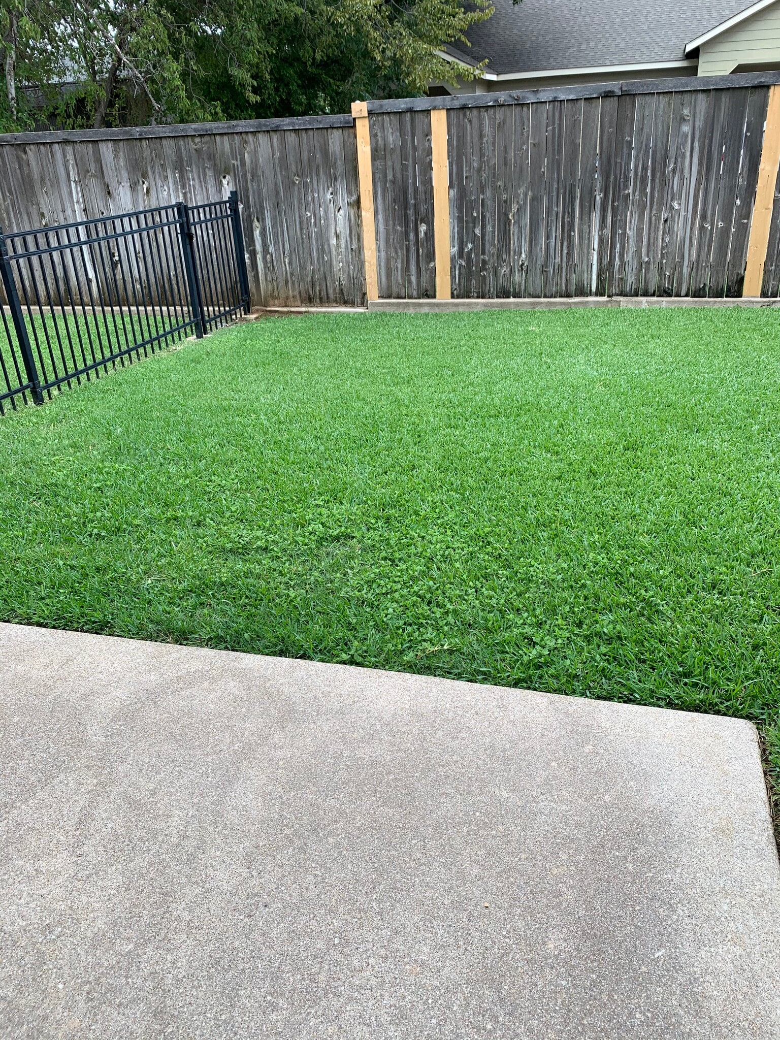 Backyard - 129 Wildwood Ct