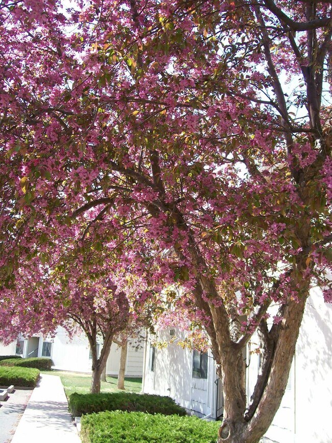 Building Photo - 3950 Manhattan Ave