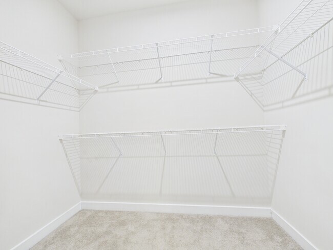 Building Photo - 3131 Coquina Ln