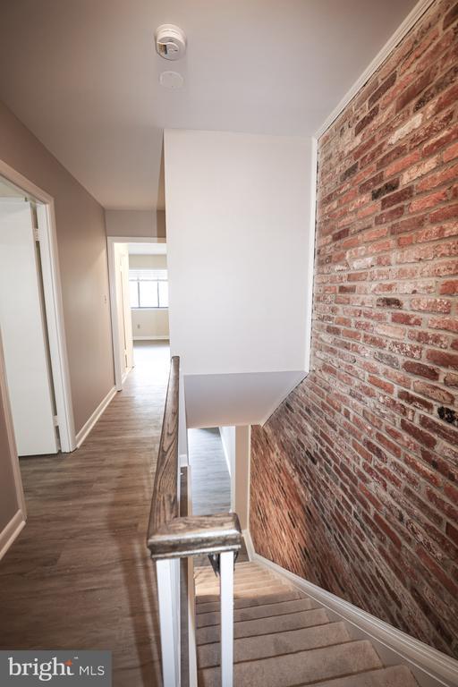 Building Photo - 3877 Steppes Ct