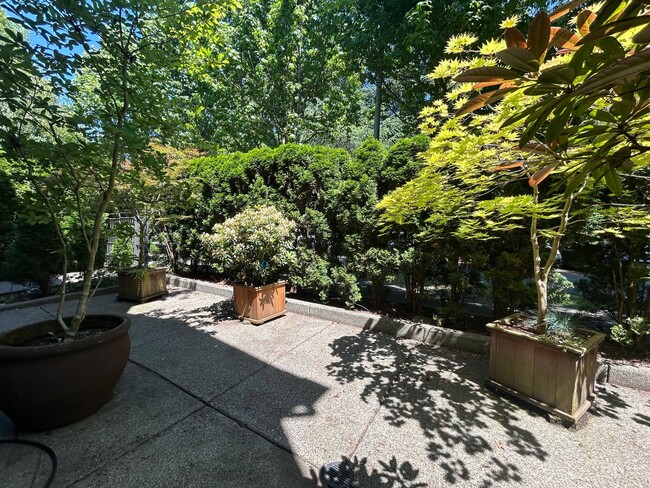 Building Photo - Madison Park Townhome
