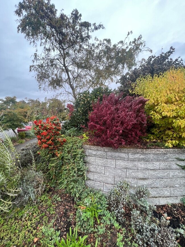 Building Photo - Cozy 2 Bedroom in Charming Everett Neighbo...