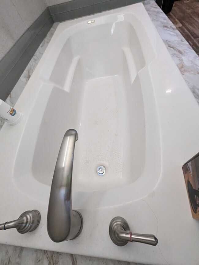 Large size master bathtub - 179 Davis Rd