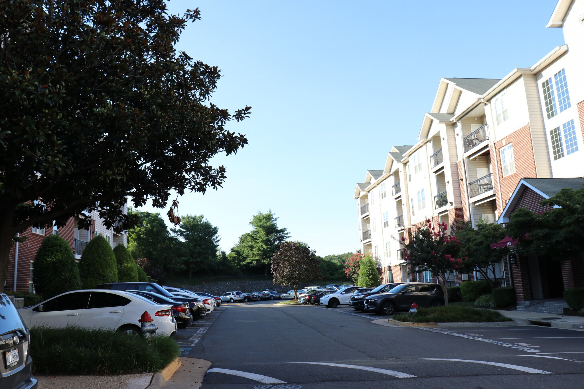 View of street in complex - 1570 Spring Gate Dr