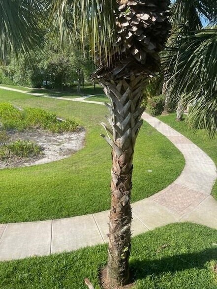 Building Photo - 22111 Majestic Woods Way