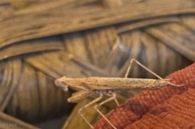 Building Photo - 481 Benedict Dr