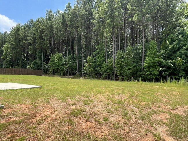 Building Photo - Newer 3 Bed Ranch home in East Charlotte