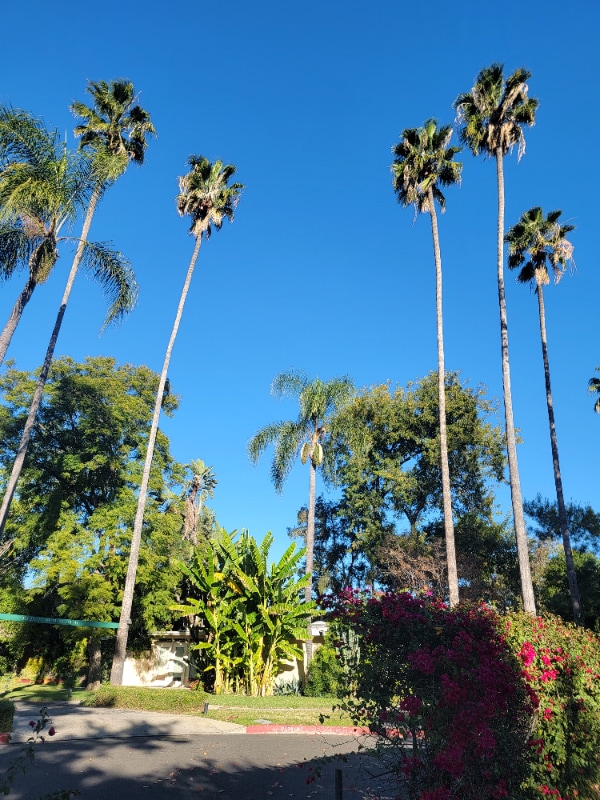 Building Photo - 7258 Allott Ave