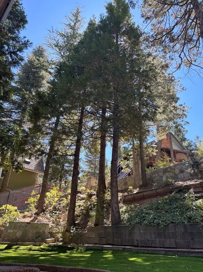 Building Photo - Vintage 5 bedroom Home with Three Car Garage