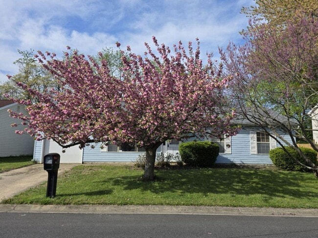 Building Photo - Ranch in Bear/Newark Area