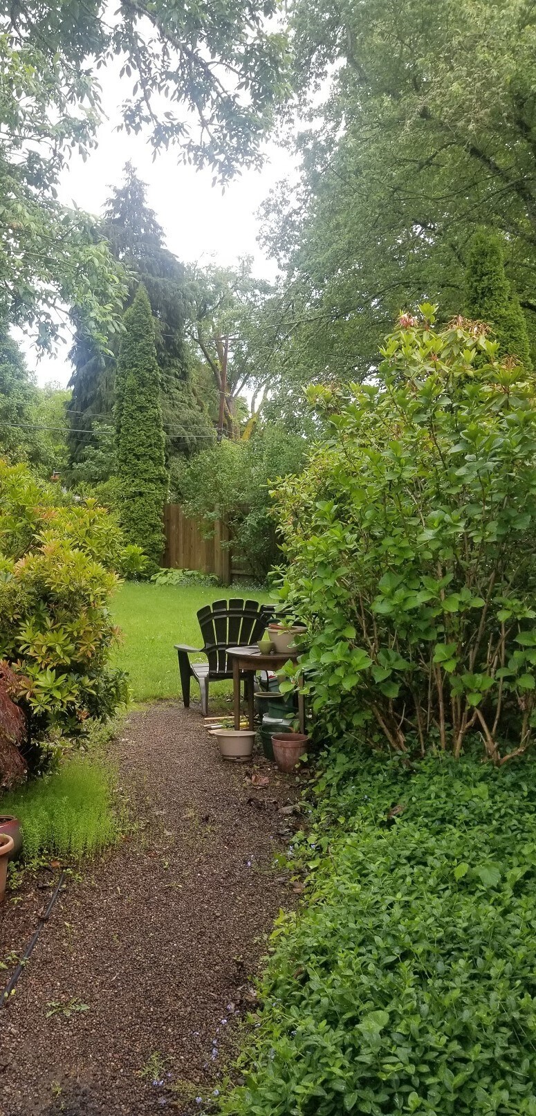 This pathway leads to a spacious & tranquil backyard, with space for adding new plants... - 885 Randall St