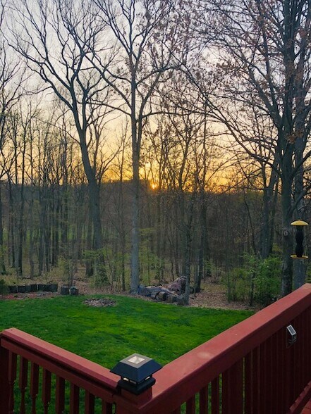 Rear Yard - 411 Lundy Ct