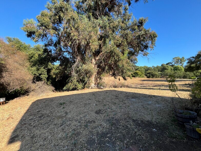 Building Photo - 1124 Rosario Dr