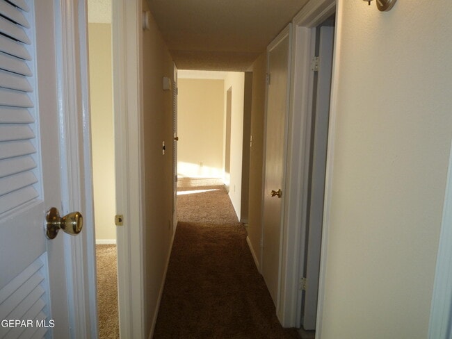 Building Photo - 10708 Levelland Pl