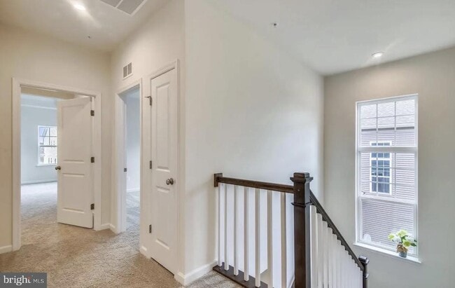 Building Photo - 1113 Saxton Dr