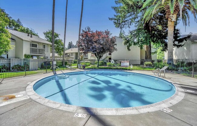 Building Photo - Walnut Creek Condo