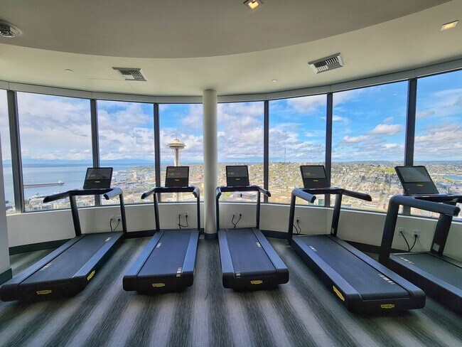 Building Photo - New Construction! Beautiful 1 Bed 1 Bath C...