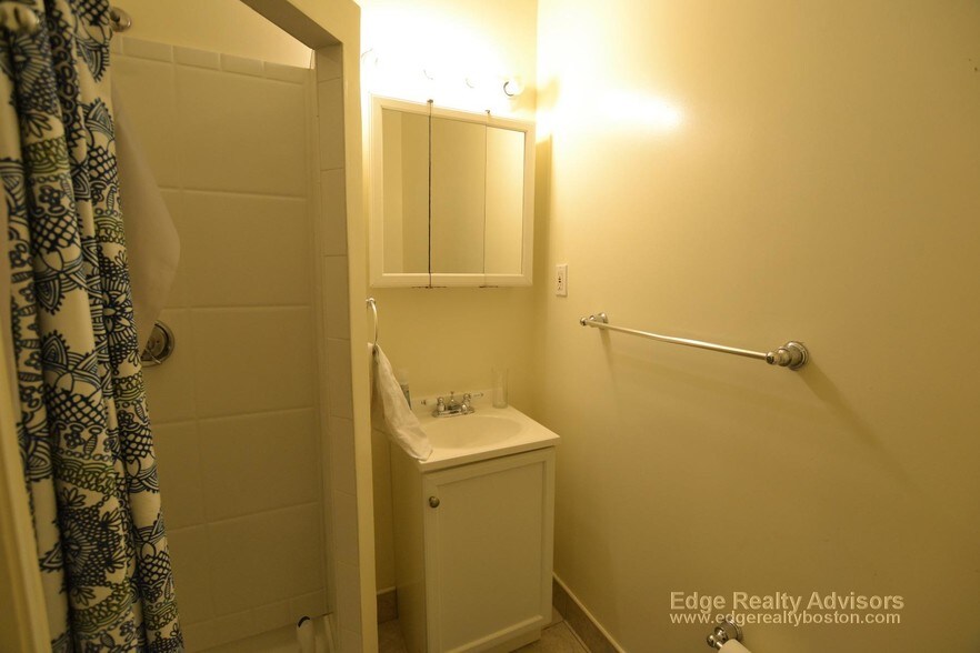 Building Photo - 209 Chestnut Hill Ave