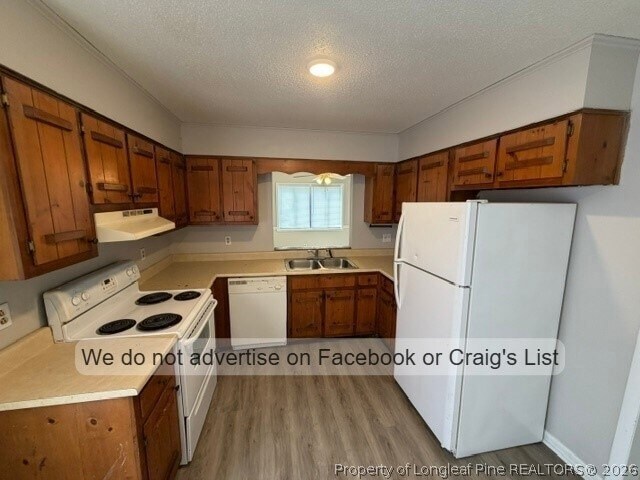 Building Photo - 7023 Salinas Ct