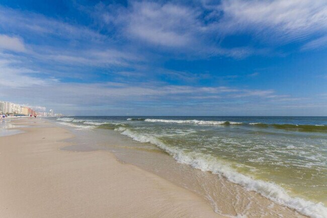 Building Photo - 24400 Perdido Beach Blvd