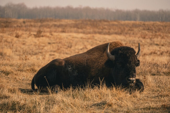 Building Photo - 3627 Bills Loop Rd