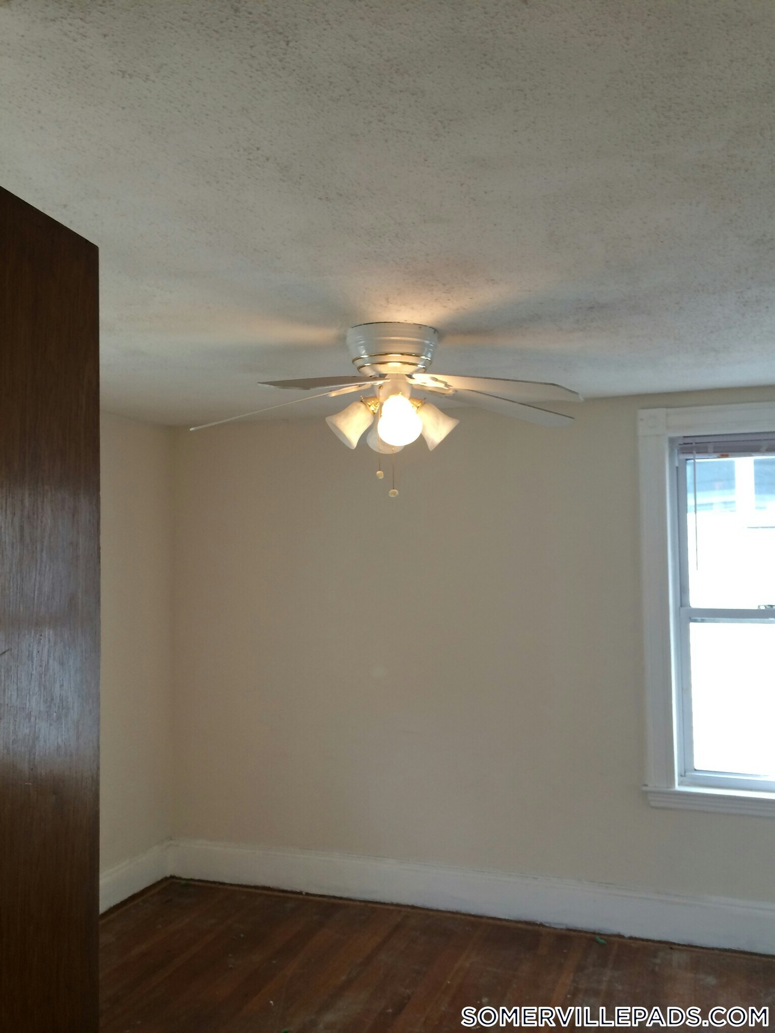 Building Photo - 41 Belknap St