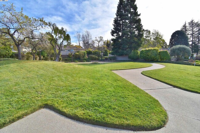 Building Photo - 204 Cypress Hills Ct