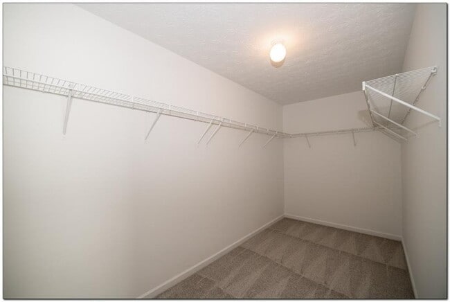 Building Photo - 3832 Roxberry Hill Ln NE