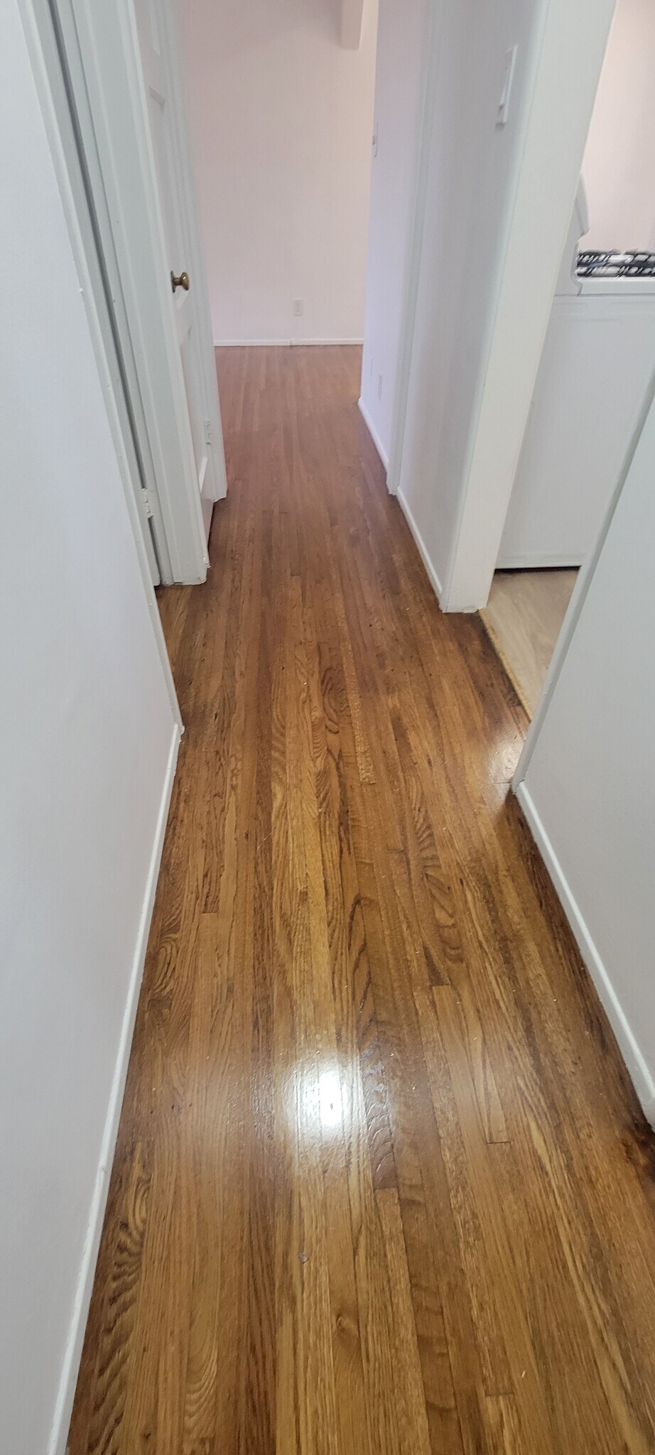 Building Photo - 16911 Glenetta Way