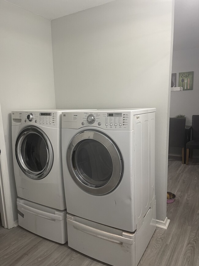 Laundry area - 3 Matlock St