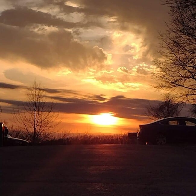 Building Photo - 259 Golden Crest Dr