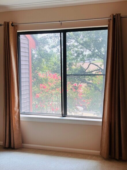 View from Primary Bedroom - 2807 Lee Oaks Ct