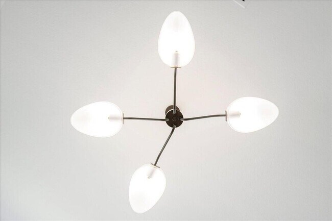 Building Photo - 3526 Angler Dr