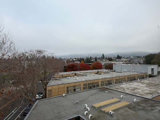 Building Photo - Contemporary, Large 1br/1ba Apt. Near Ashby BART