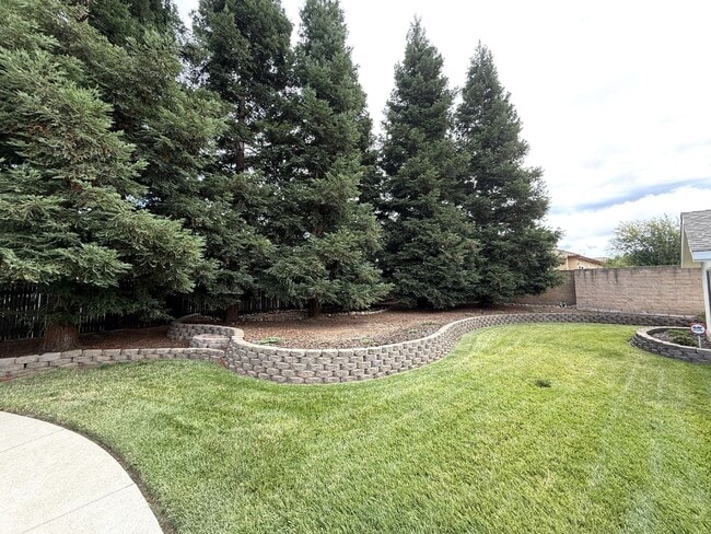 Building Photo - Secluded 2bd/1ba Carmichael Charmer near S...