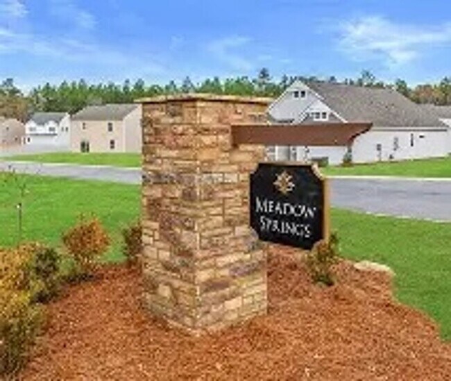 Building Photo - 5 Bedroom Home in Meadow Springs