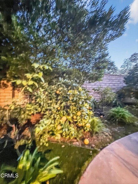 Building Photo - 1399 Cordova St