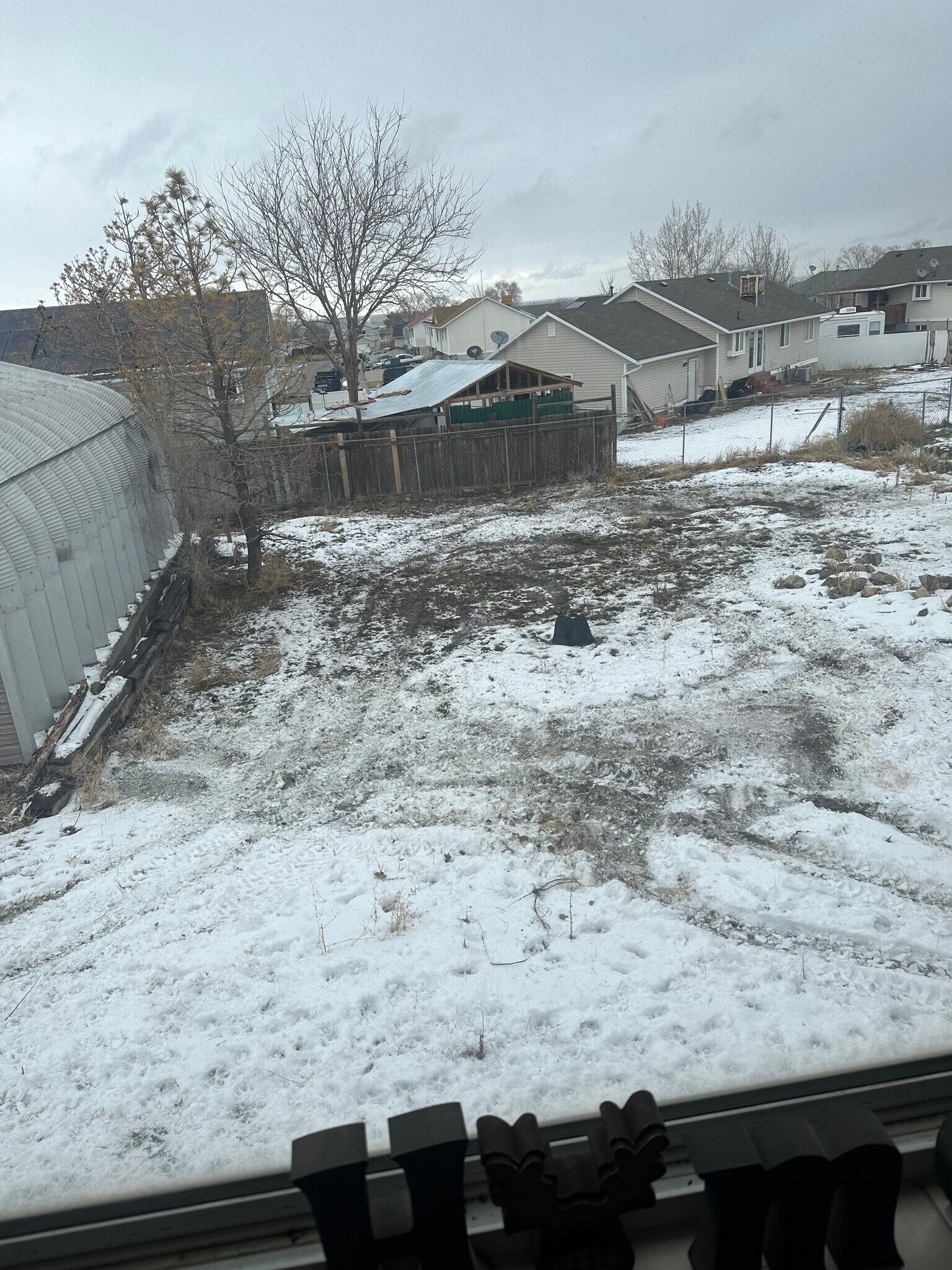 Large backyard - 7882 W Bridgton Dr