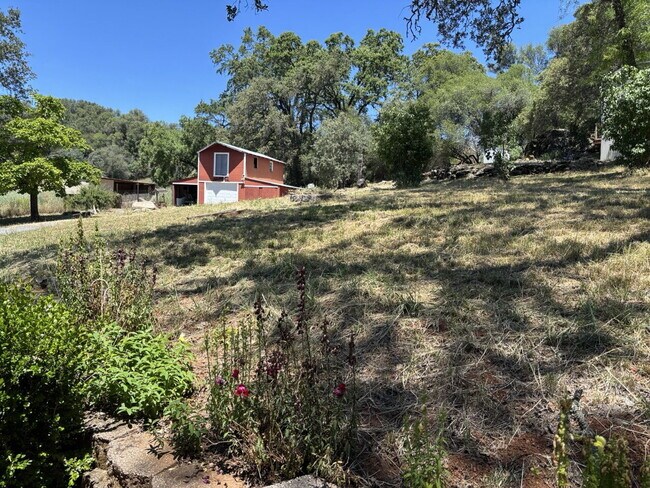 Building Photo - Large 3-bedroom home on peaceful acreage with usable yard on Lotus Road!